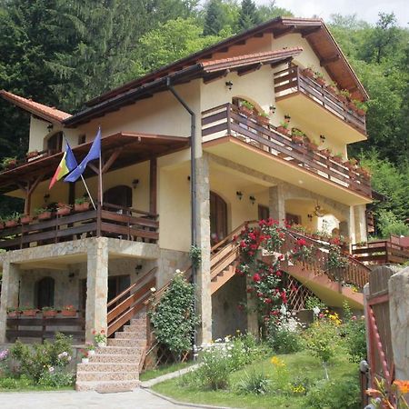 Casa Anca Boutique Hotel Timisu de Jos Dış mekan fotoğraf