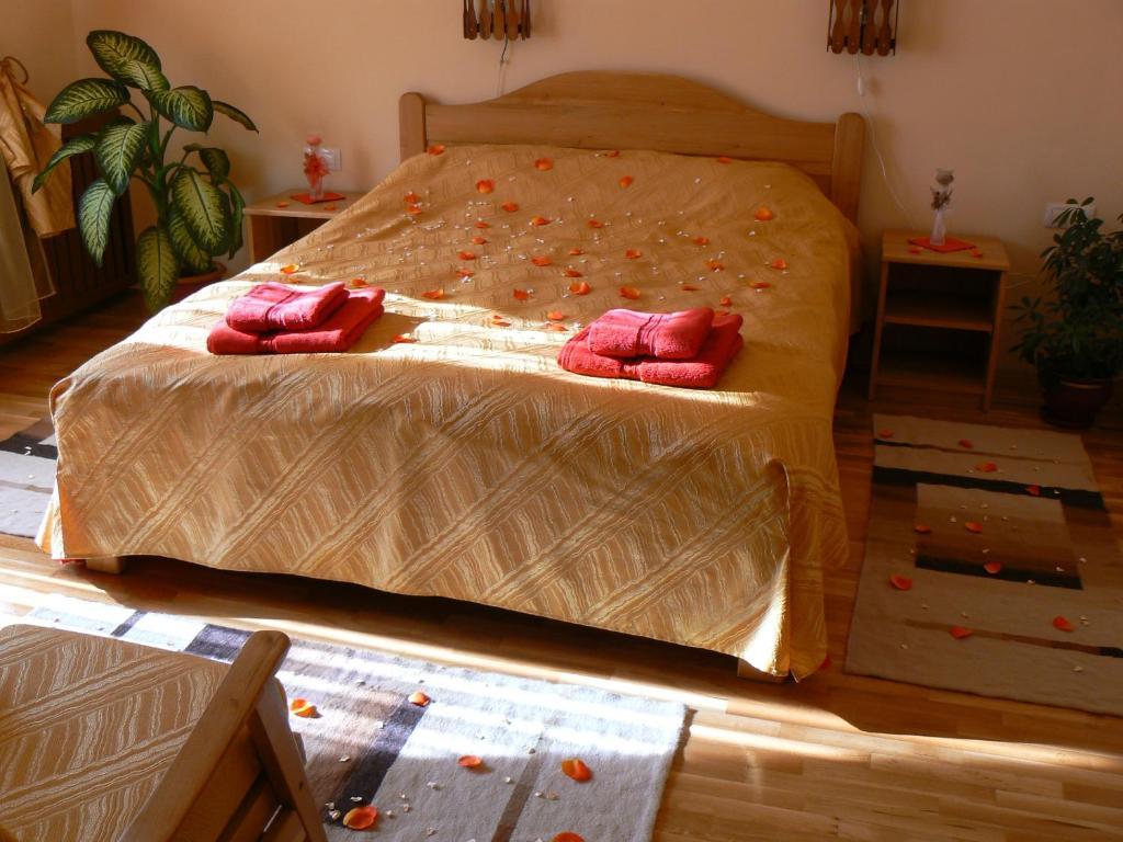 Casa Anca Boutique Hotel Timisu de Jos Oda fotoğraf