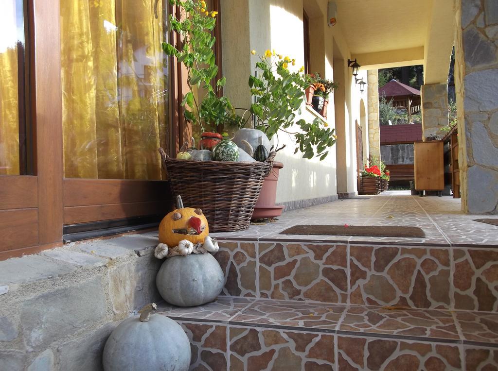 Casa Anca Boutique Hotel Timisu de Jos Dış mekan fotoğraf