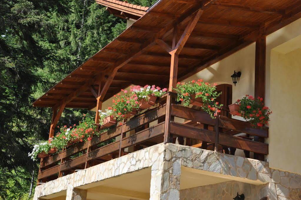 Casa Anca Boutique Hotel Timisu de Jos Dış mekan fotoğraf