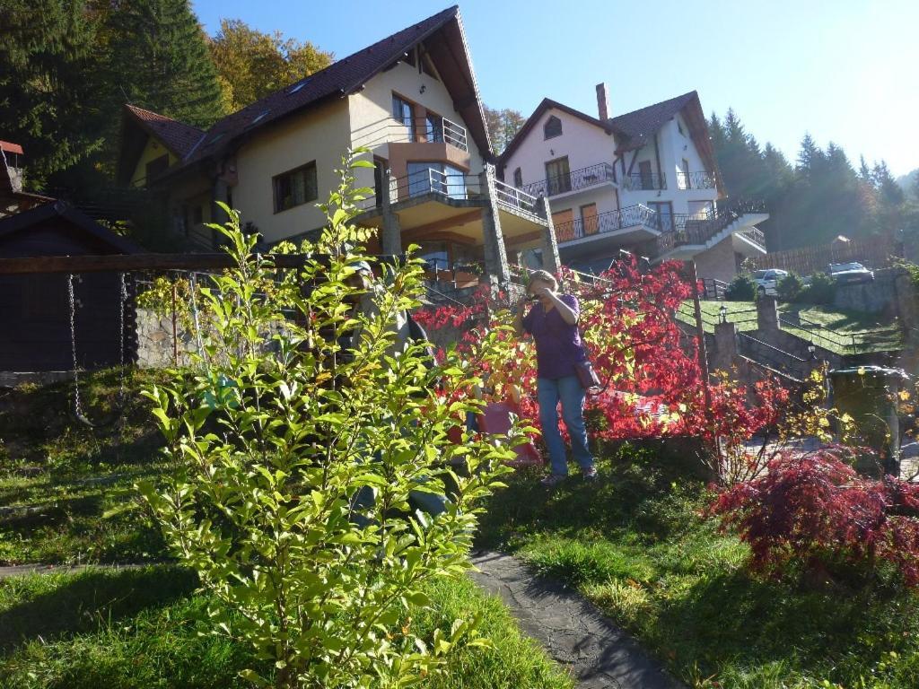Casa Anca Boutique Hotel Timisu de Jos Dış mekan fotoğraf