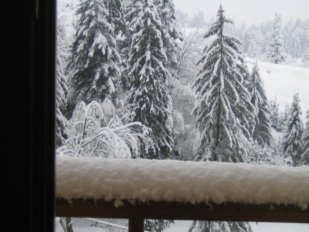 Casa Anca Boutique Hotel Timisu de Jos Dış mekan fotoğraf